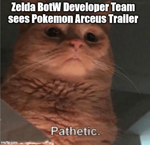 Nintendo Zelda - meme