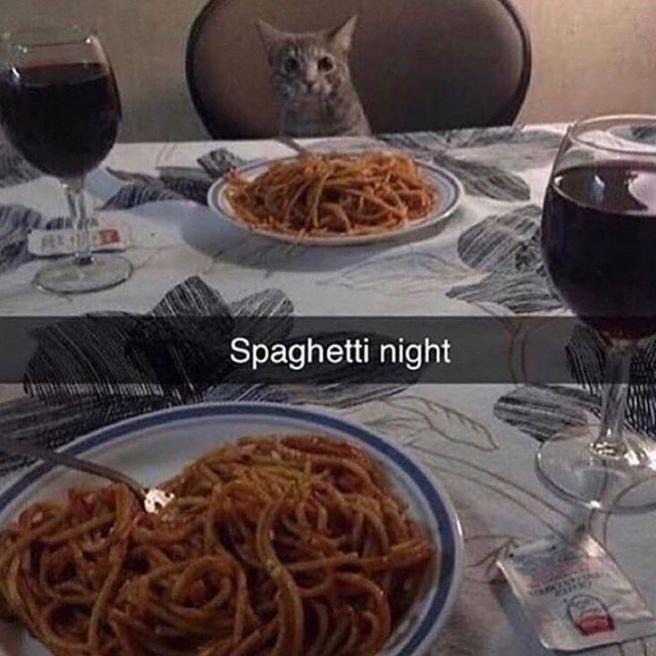 spaghetti night - meme