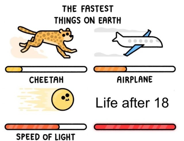 Fastest things on earth - meme