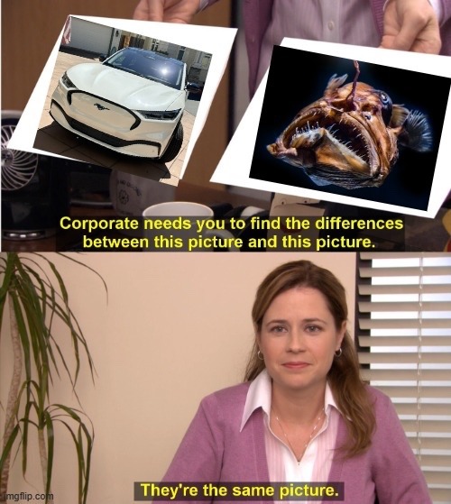 fucking garbage ford (fgf) - meme