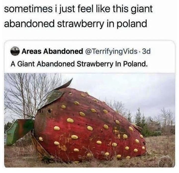 Giant Abandoned Strawberry in Poland - meme