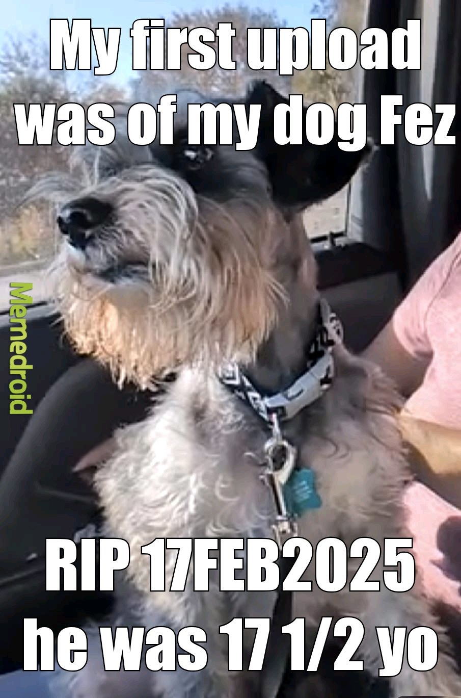 He was ride or die from womb to tomb - meme