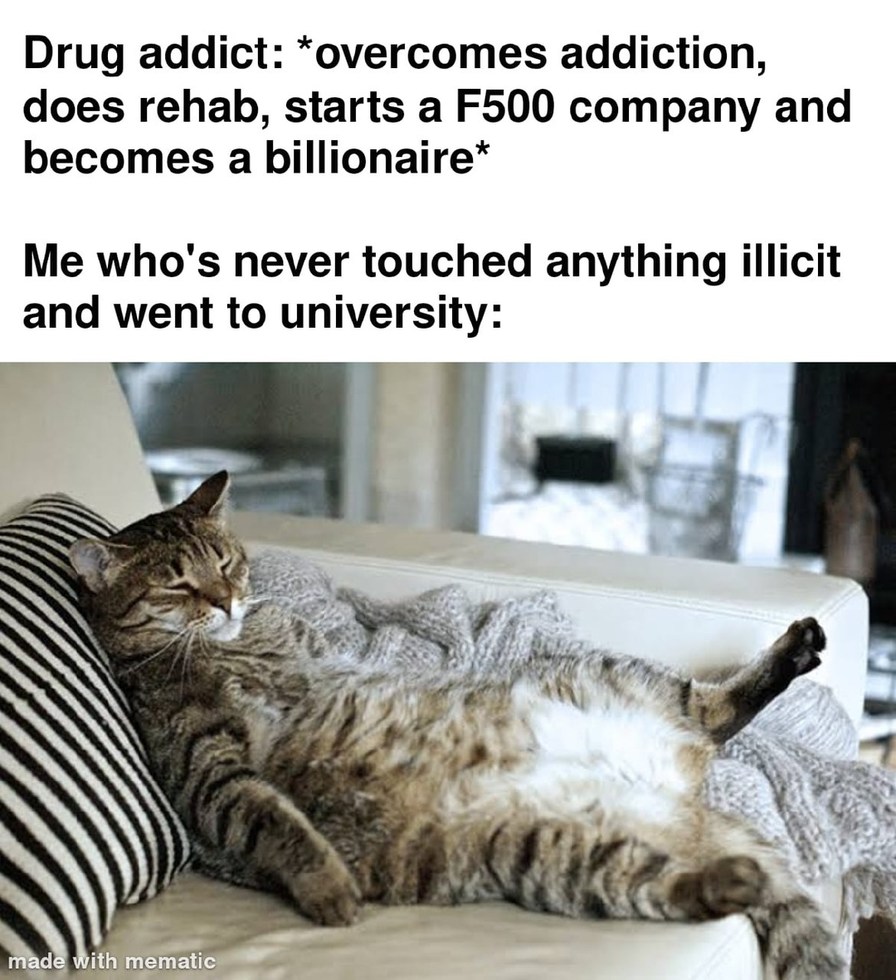 Well i have a degree at least - meme