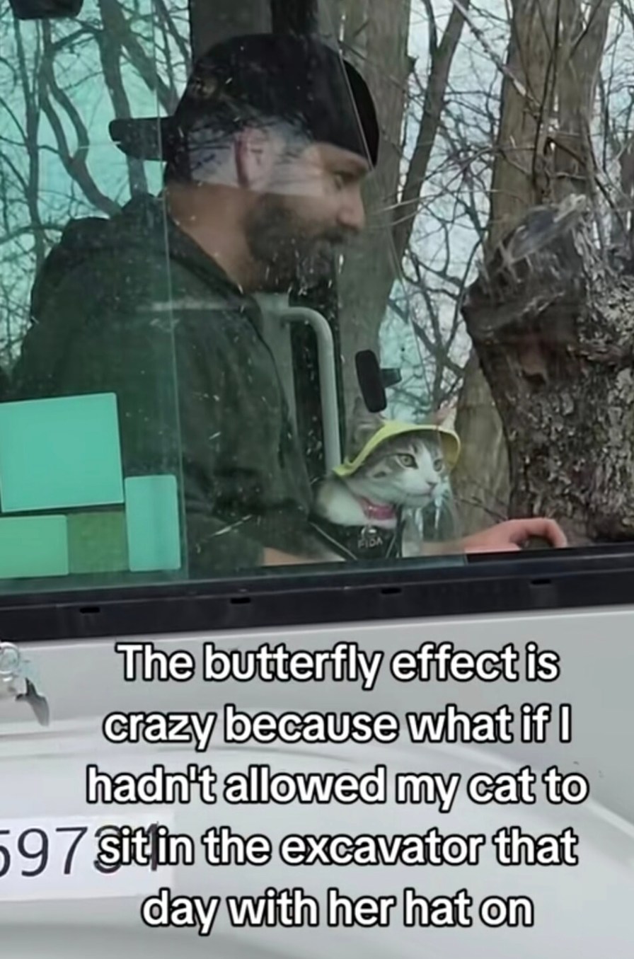 Let the cat in the excavator once and now reality’s broken - meme