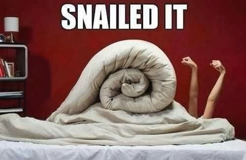 Snailed it - meme