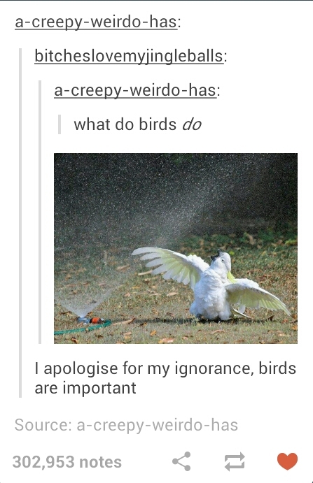 Birds - meme