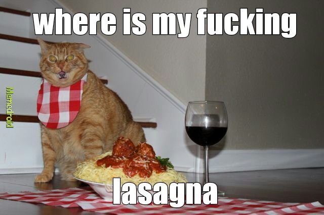 fucking lasagna - meme