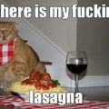 fucking lasagna