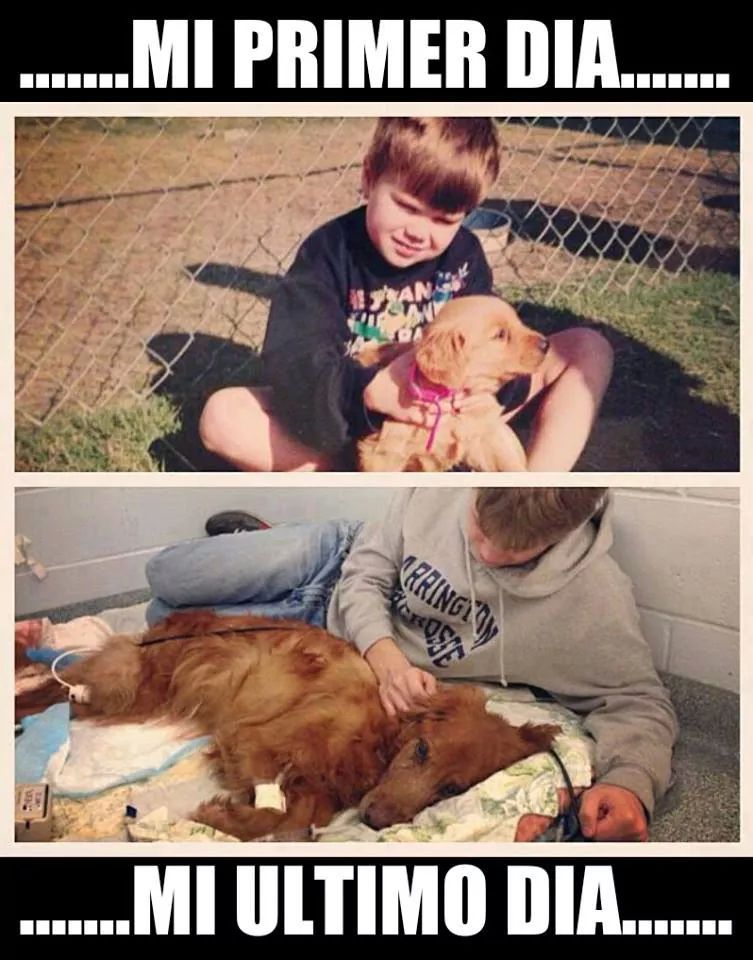 Дружба до конца. Дружба до конца. Друг детства. Высказывания о дружбе. Дружба до конца.