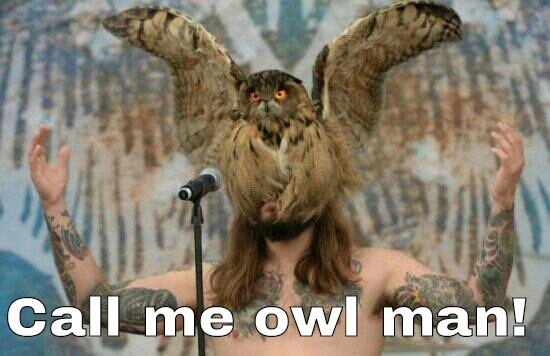 Owl man! help! - meme