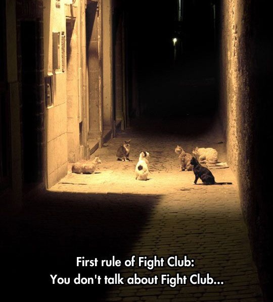 Fight Club - meme