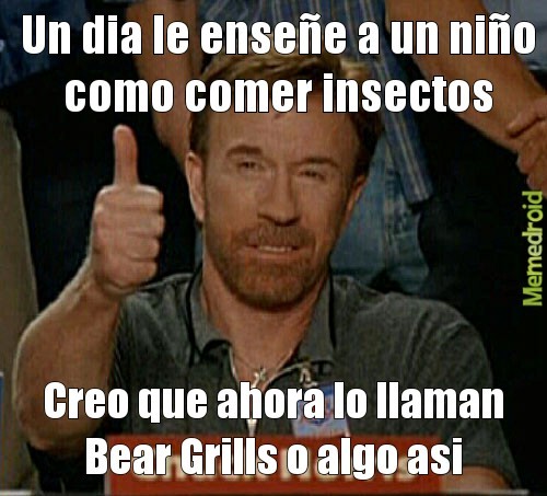 Bear Grills - meme