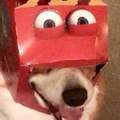 No one cared who I was untill I put on the happy meal :0)