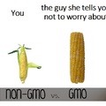Give me the GMO