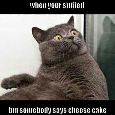 A cake with cheese - meme