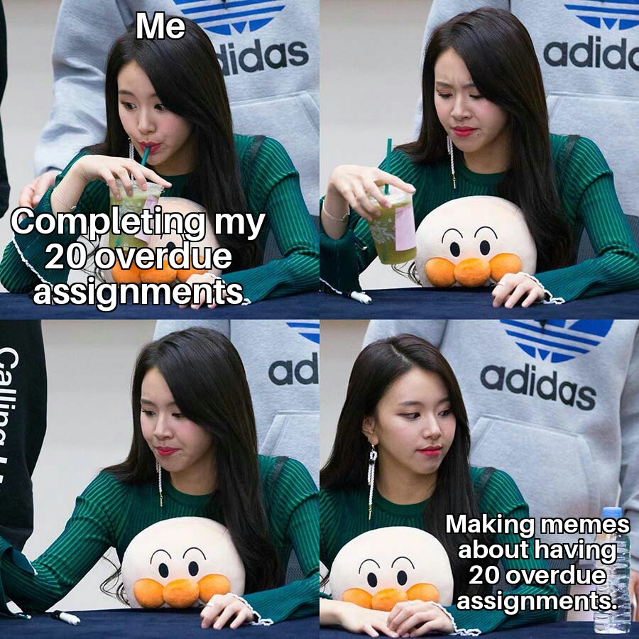 I somehow hate school more now, than when I had to attend - meme