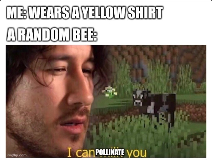 Bees are annoying - meme