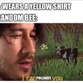 Bees are annoying