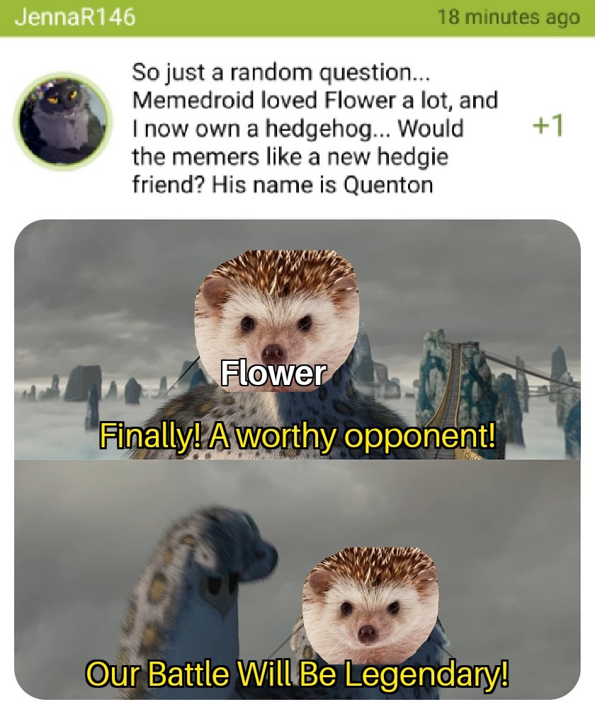 Hedgehog War - meme