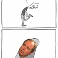Stepped in a piece of Schiff