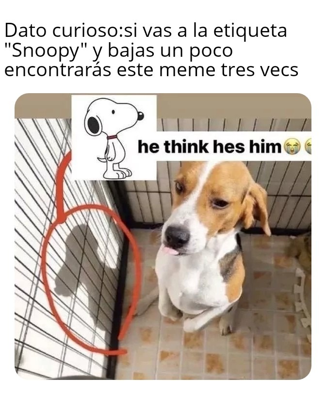Háganlo si quieren - meme