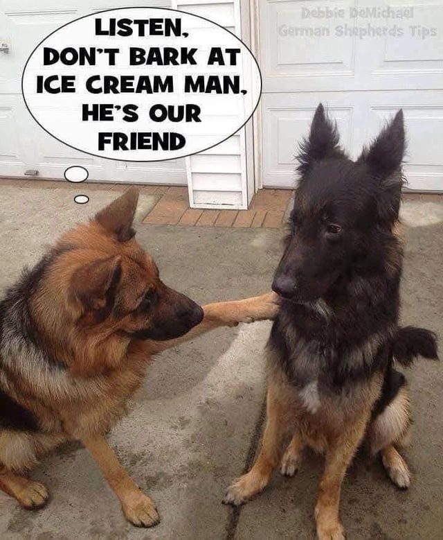 We want icecream - meme