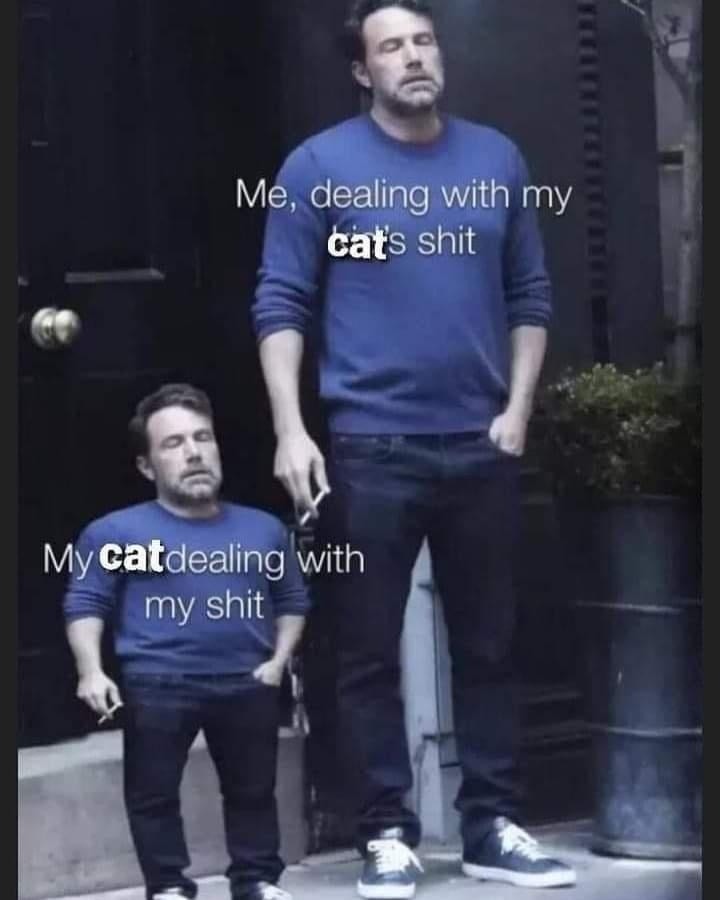 Me cleaning cat poop vs my cat watching me have a breakdown - meme