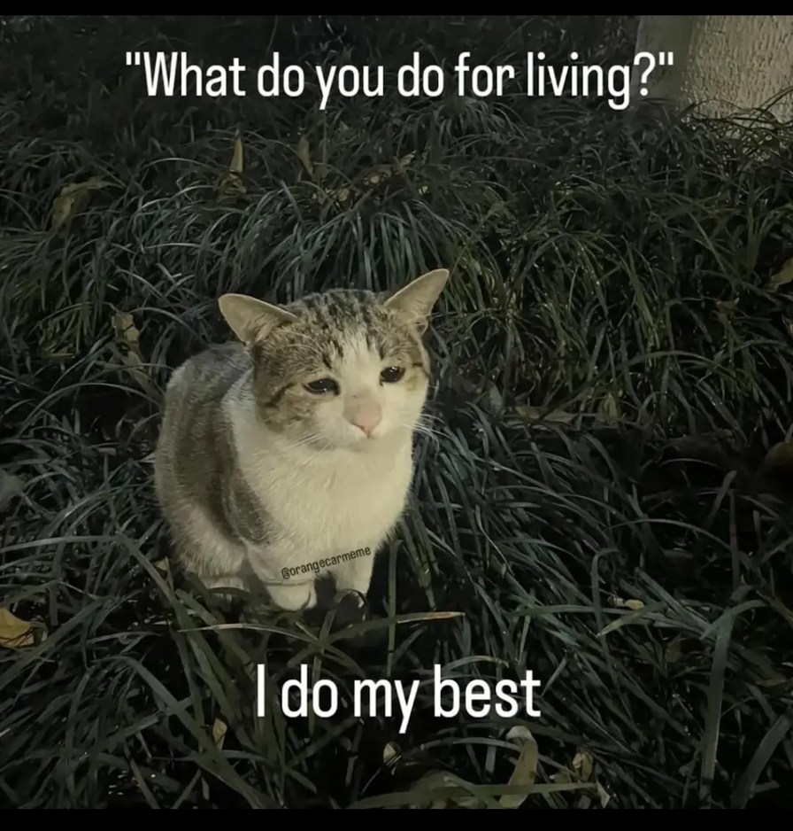 Share your doings in comments - meme