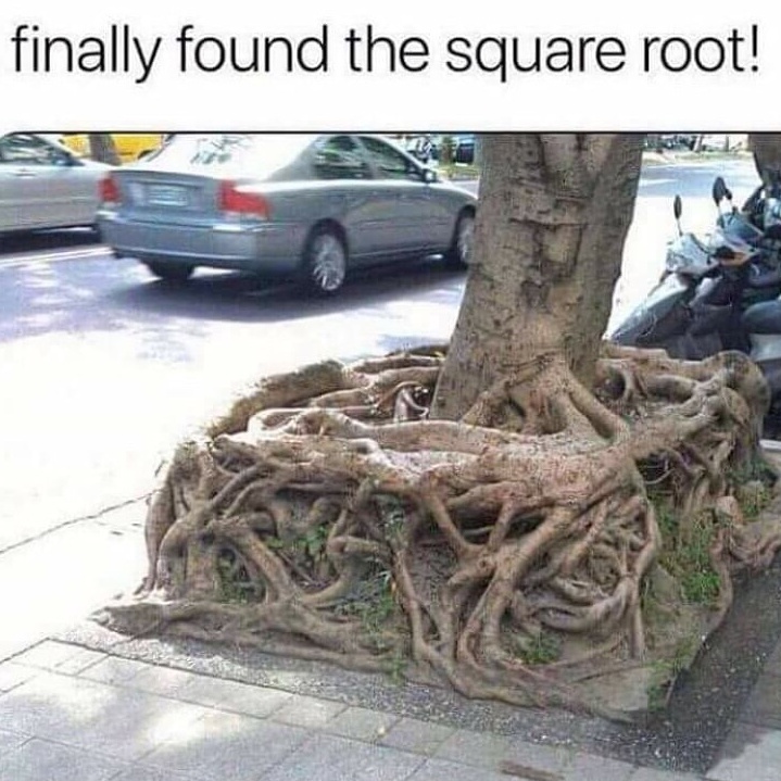 The square root - meme