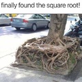 The square root
