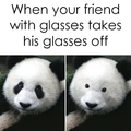Panda blind