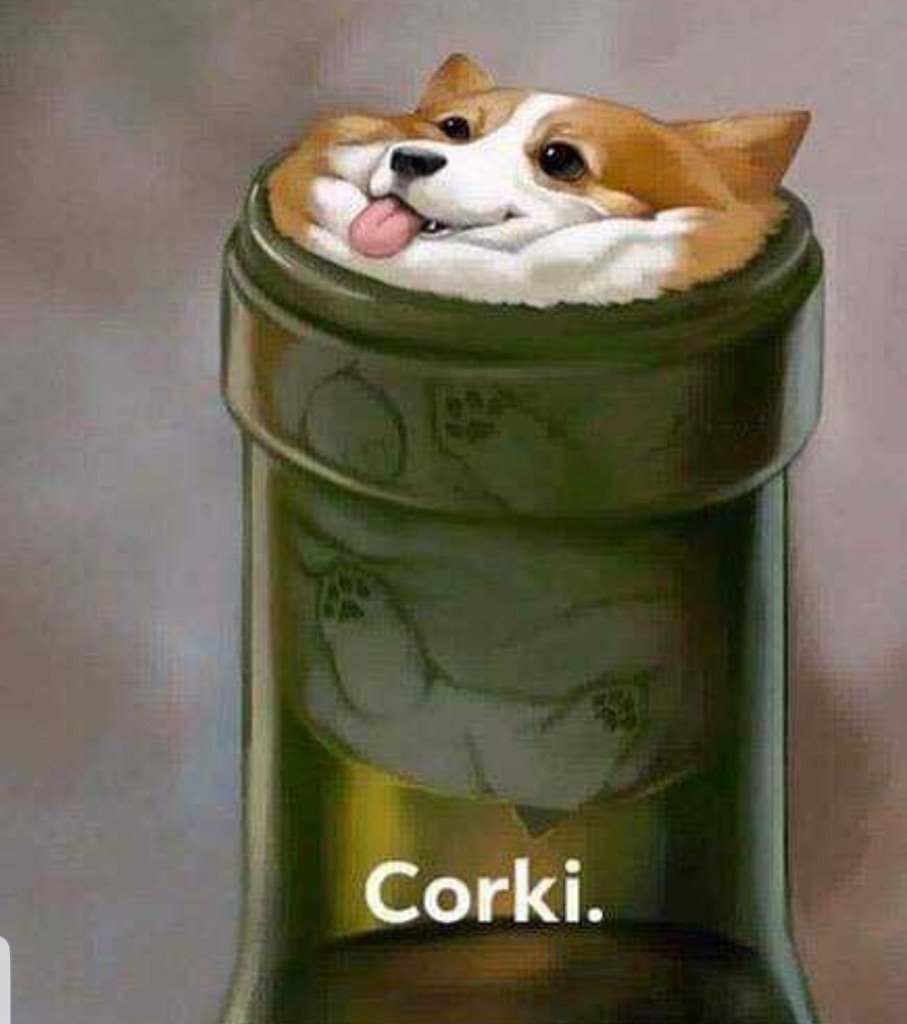 Corki - meme