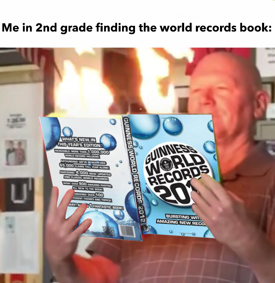 World record books were not better than the Minecraft books - meme