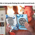 World record books were not better than the Minecraft books