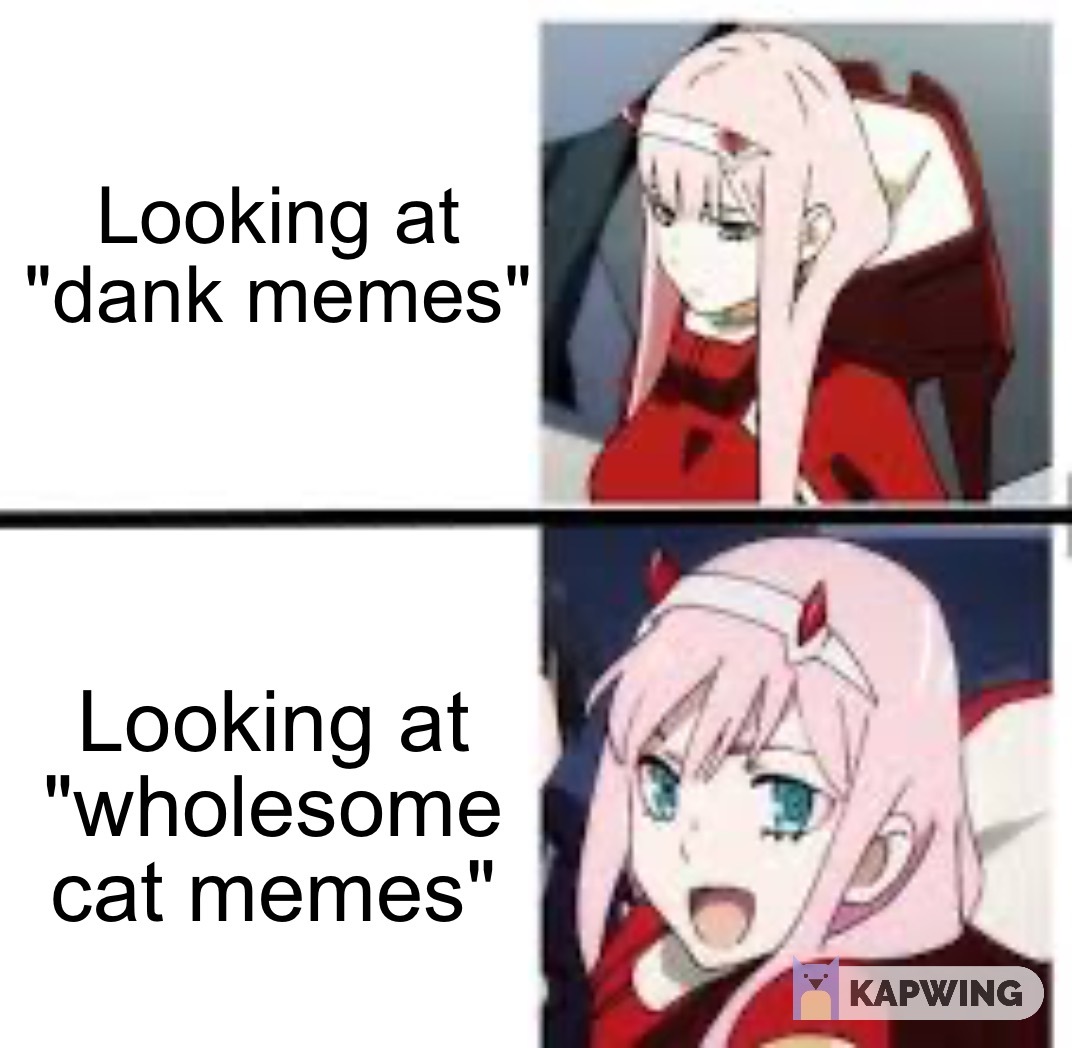 The Best Anime Memes Memes Memedroid