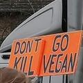 Não vá mate os veganos