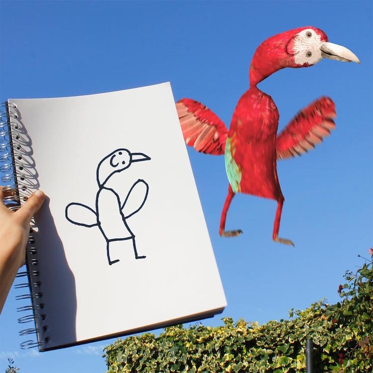 If what a bird looked like was accurate to my ability to draw - meme