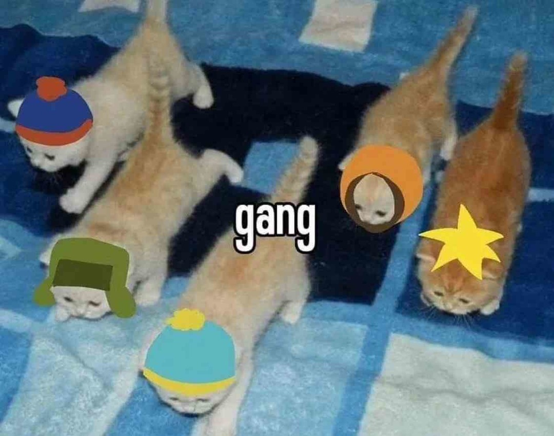 Gang - meme