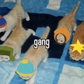 Gang