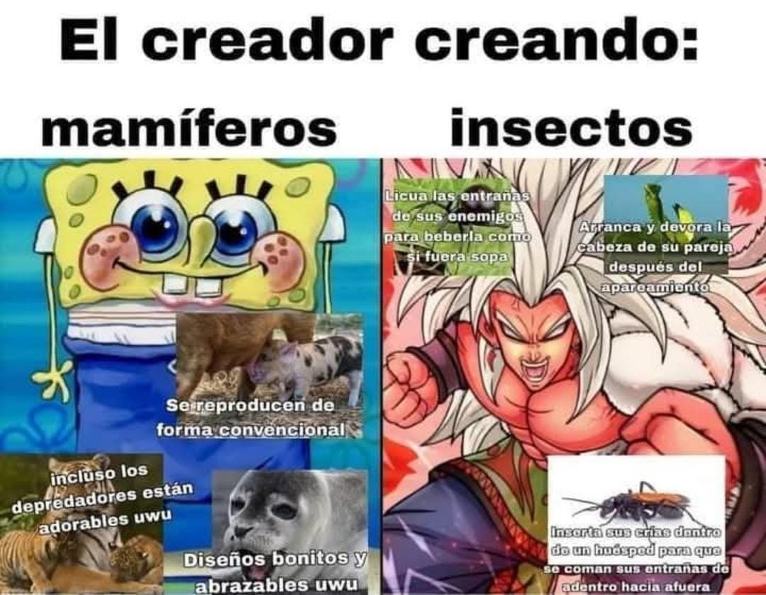 insectos le saben ala esencia no como las nenazas mamiferos - meme