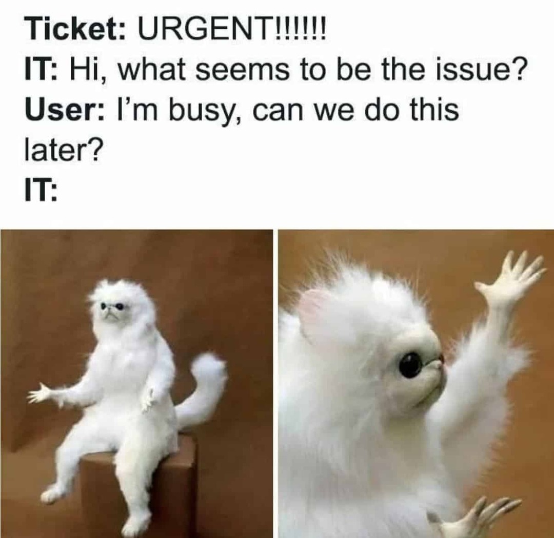 User - meme