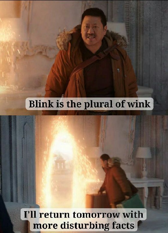 Blink is just two winks at once bro - meme