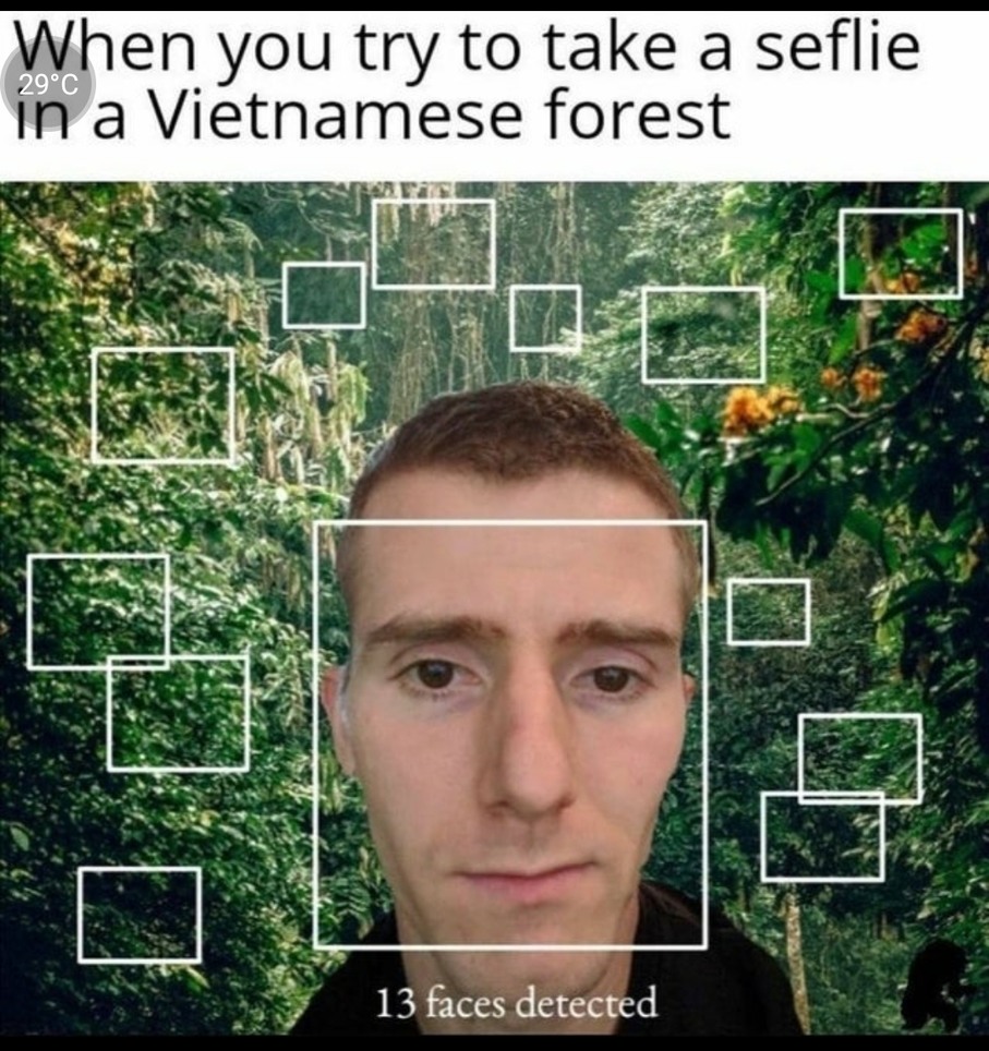 They're in the trees - meme