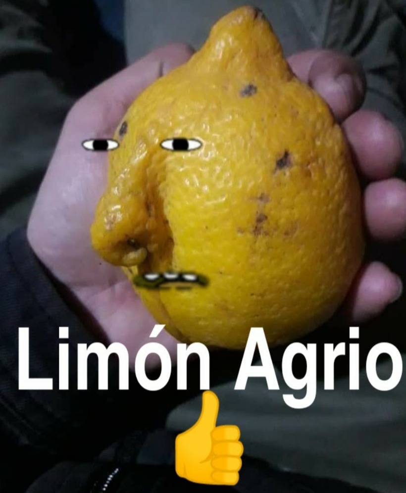 Limon Agrio  - meme