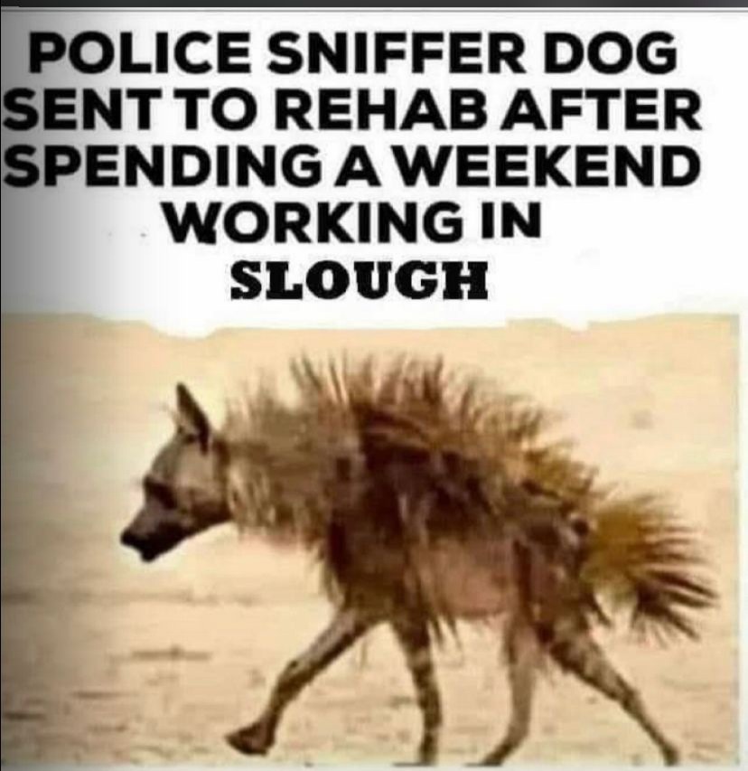 Police Sniffer Dog - meme