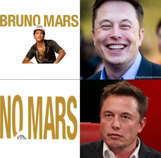 *Sad Elon Musk sounds* - meme
