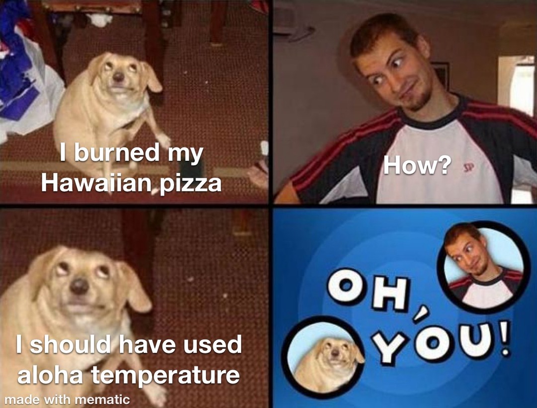 punny - meme