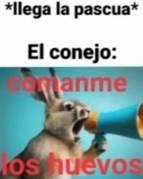 El Conejo: - meme