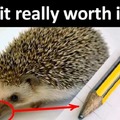 commented item thumbnail