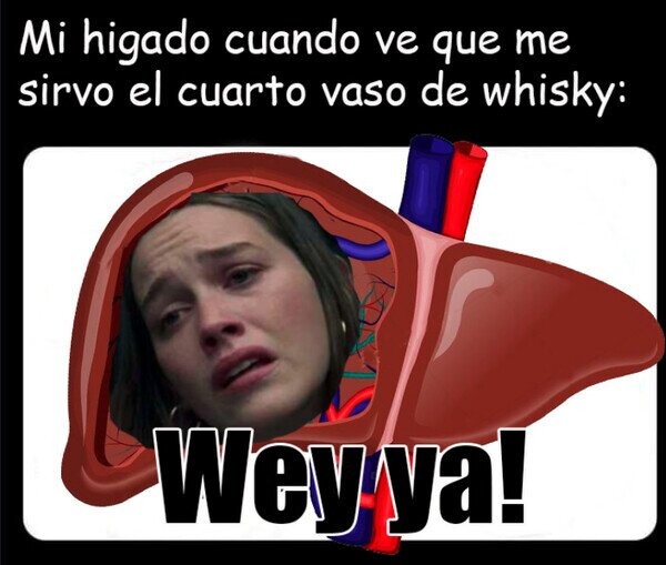 Mi hígado viendo cómo sirvo otro whisky con cero culpa - meme
